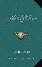 Home Scenes: Or Tavistock and Its Vicinity (1846)
