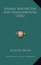 Animal Magnetism and Somnambulism (1856)