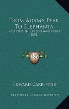 From Adam's Peak to Elephanta: Sketches in Ceylon and India (1892)