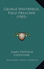 George Whitefield, Field Preacher (1901)