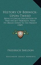 History Of Berwick-Upon-Tweed: Being A Concise Description Of That Ancient Borough, From Its Origin Down To The Present (1849)