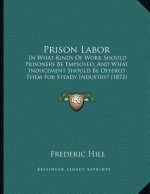 Prison Labor: In What Kinds Of Work Should Prisoners Be Employed, And What Inducement Should Be Offered Them For Steady Industry? (1