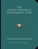 The Oxymel Process In Photography (1856)