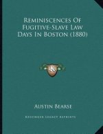 Reminiscences Of Fugitive-Slave Law Days In Boston (1880)