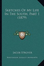 Sketches of My Life in the South, Part 1 (1879)