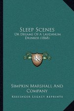 Sleep Scenes: Or Dreams of a Laudanum Drinker (1868)