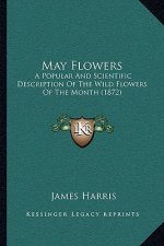 May Flowers: A Popular and Scientific Description of the Wild Flowers of the Month (1872)