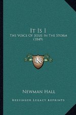 It Is I: The Voice of Jesus in the Storm (1849)