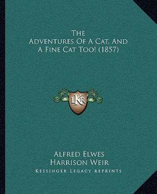 The Adventures of a Cat, and a Fine Cat Too! (1857)