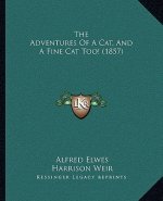 The Adventures of a Cat, and a Fine Cat Too! (1857)