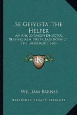 Se Gefylsta, the Helper: An Anglo-Saxon Delectus, Serving as a First-Class Book of the Language (1866)