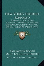 New York's Inferno Explored: Scenes Full of Pathos Powerfully Portrayed, Siberian Desolation Caused by Vice and Drink, Tenements Packed with Misery
