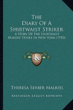 The Diary of a Shirtwaist Striker: A Story of the Shirtwaist Makers' Strike in New York (1910)