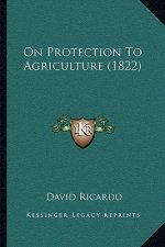 On Protection to Agriculture (1822)