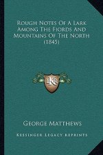 Rough Notes of a Lark Among the Fiords and Mountains of the North (1845)