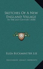 Sketches of a New England Village: In the Last Century (1838)