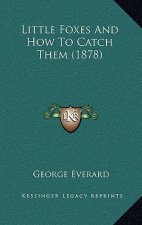 Little Foxes and How to Catch Them (1878)