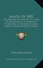 Saints of 1881: Or Sketches of Lives of St. Clare of Montefalco, St. Laurence of Brindisi, St. Benedict Joseph Labre, St. John Baptist