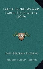 Labor Problems and Labor Legislation (1919)