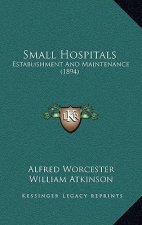 Small Hospitals: Establishment and Maintenance (1894)