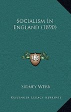 Socialism in England (1890)