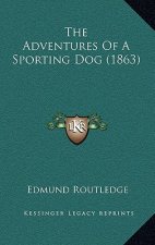 The Adventures of a Sporting Dog (1863)