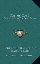 Sunny Days: Or a Month at the Great Stowe (1871)