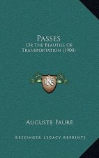 Passes: Or the Beauties of Transportation (1900)