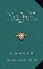 Gatherings from the Pit-Heaps: Or the Allens of Shiney-Row (1861)