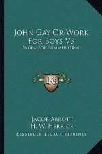 John Gay or Work for Boys V3: Work for Summer (1864)