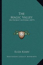 The Magic Valley: Or Patient Antoine (1877)
