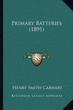 Primary Batteries (1891)