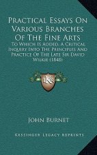 Practical Essays on Various Branches of the Fine Arts: To Which Is Added, a Critical Inquiry Into the Principles and Practice of the Late Sir David Wi