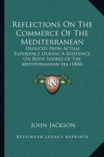 Reflections on the Commerce of the Mediterranean: Deduced from Actual Experience During a Residence on Both Shores of the Mediterranean Sea (1804)