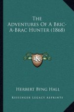 The Adventures of a Bric-A-Brac Hunter (1868)