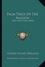 Palm Trees of the Amazon: And Their Uses (1853)