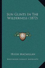 Sun Glints in the Wilderness (1872)