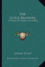 The Little Brother: A Story Of Tramp Life (1902)