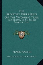The Broncho Rider Boys on the Wyoming Trail: Or a Mystery of the Prairie Stampede (1914)