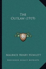 The Outlaw (1919)