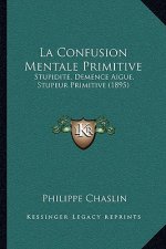 La Confusion Mentale Primitive: Stupidite, Demence Aigue, Stupeur Primitive (1895)