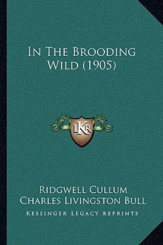 In the Brooding Wild (1905)