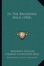 In the Brooding Wild (1905)