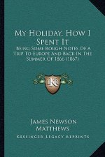 My Holiday, How I Spent It: Being Some Rough Notes of a Trip to Europe and Back in the Summer of 1866 (1867)
