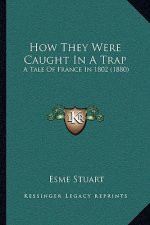How They Were Caught in a Trap: A Tale of France in 1802 (1880)