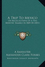 A Trip to Mexico: Or Recollections of a Ten-Months' Ramble in 1849-50 (1851)