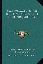 Some Passages in the Life of an Adventurer in the Punjaub (1842)