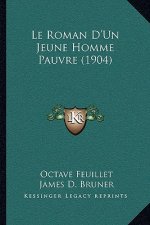 Le Roman D'Un Jeune Homme Pauvre (1904)