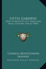 Little Gardens: How to Beautify City Yards and Small Country Spaces (1904)