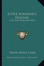 Little Sunshine's Holiday: A Picture from Life (1871)